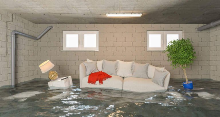 Comprehensive Guide to Water Damage Restoration: Steps, Techniques, and Tips