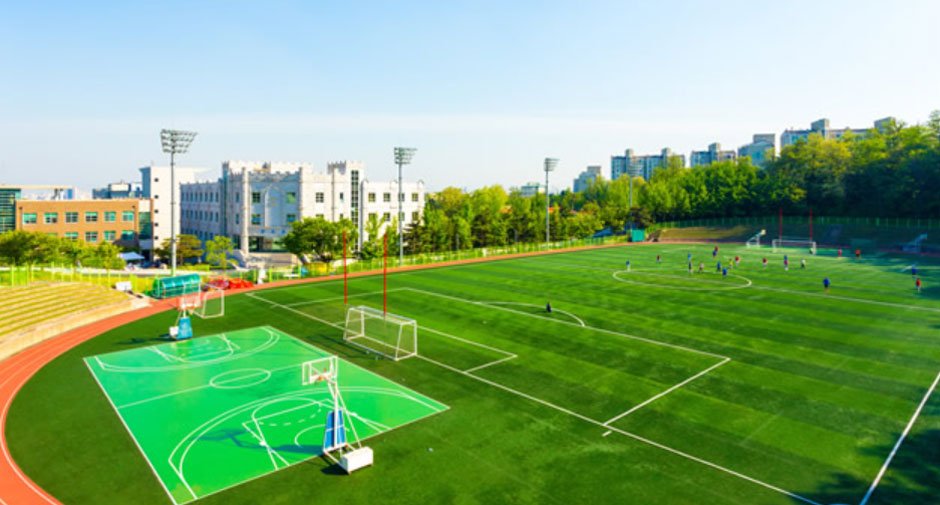 Improving Sports Field Conditions with Advanced Solutions