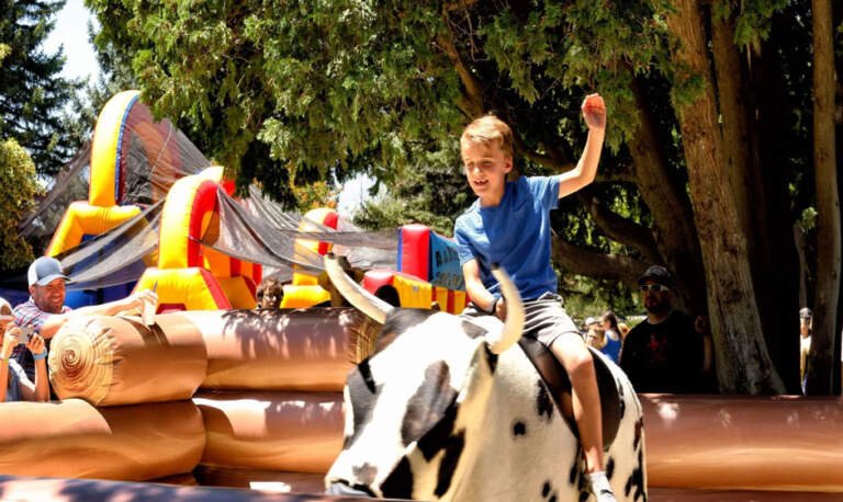 The Ultimate Guide to Hosting an Exciting Electric Bull Riding Party