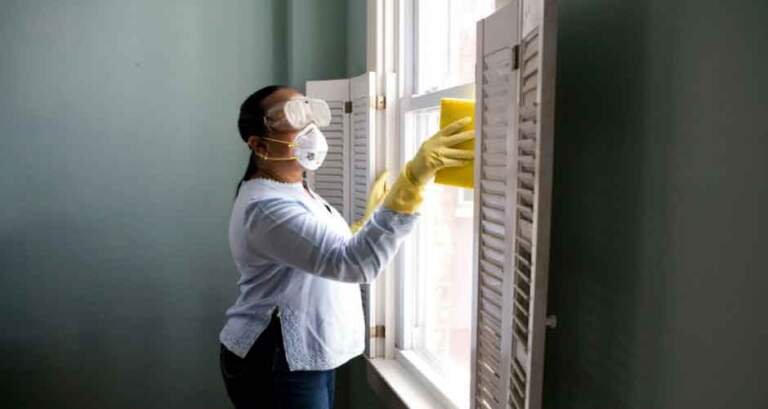 Dampness and Mold – 7 Ways It Can Damage Your House