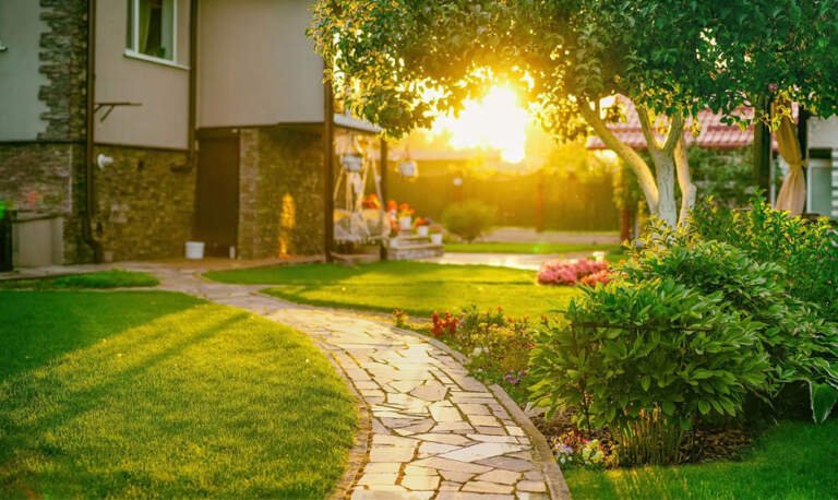 Seasonal Landscaping: Enhancing Your Outdoor Spaces Throughout the Year