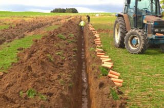 How Field Drainage Can Improve Crop Yield and Quality?