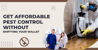 Get Affordable Pest Control Without Emptying Your Wallet