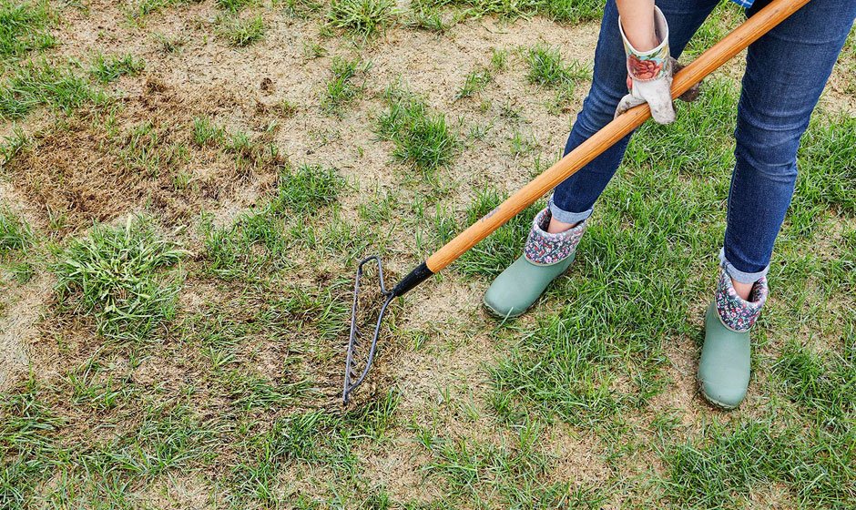 How to Repair Your Yard 