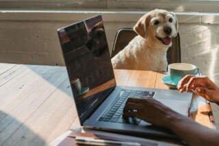 Creating a Pet-Friendly Workplace