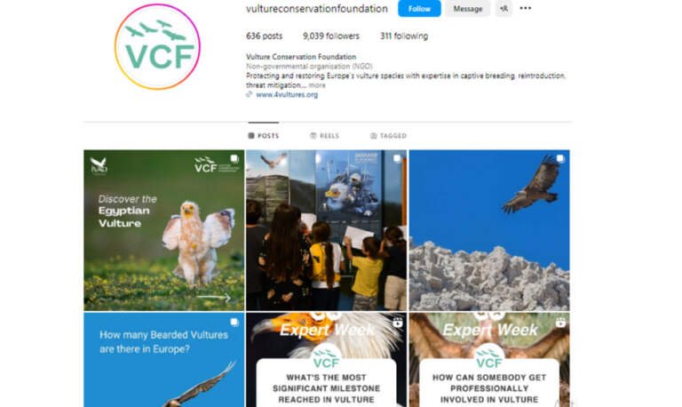 Top 5 Instagram pages related to Griffon Vulture Foundation