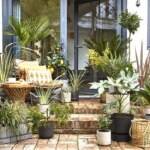 Maximizing Space and Style in Your Garden