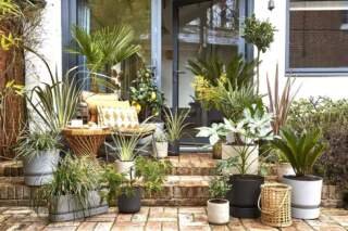 Maximizing Space and Style in Your Garden