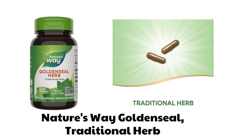 Nature's-Way-Goldenseal,-Traditional-Herb