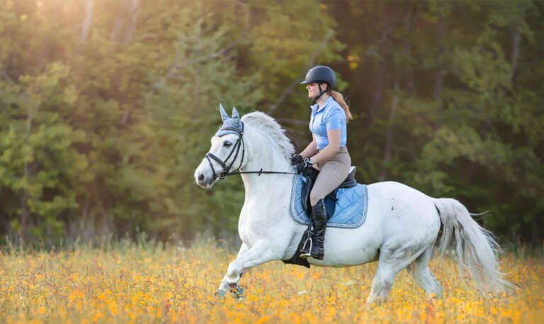 Riding Ready: Must-Have Essentials for Your Horse Riding Trip