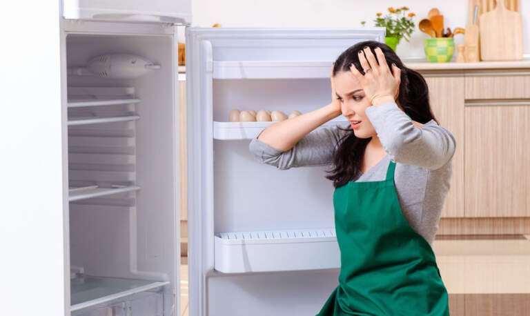 A-Guide-to-Solving-5-Common-Refrigerator-Problems