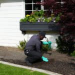 Understanding Pest Control Services Available in Riverside for Every Homeowner