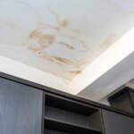 Understanding Roof Water Damage