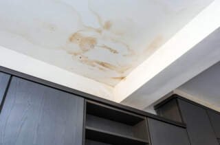 Understanding Roof Water Damage: Causes, Signs, and Solutions