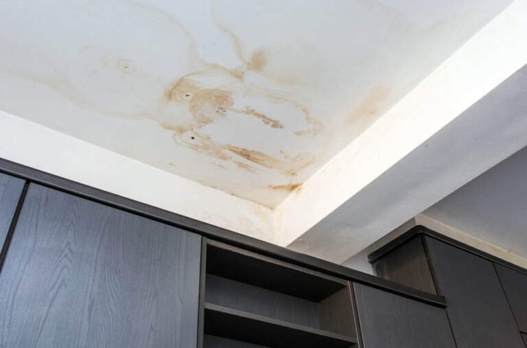 Understanding Roof Water Damage