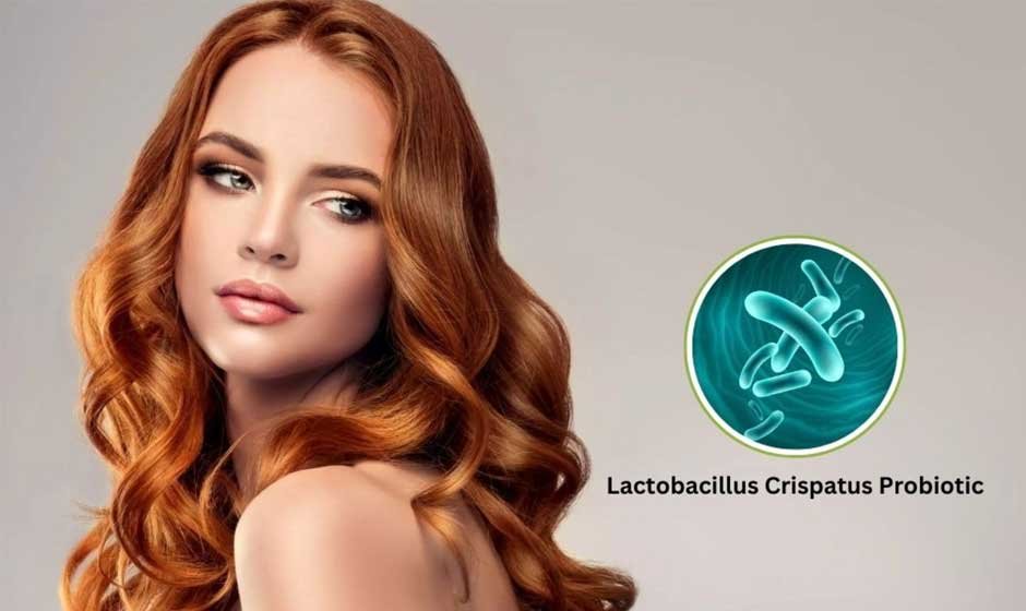 Lactobacillus Crispatus Probiotic for Women Health Review