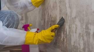 The Ultimate Guide to Mold Remediation: Steps to a Healthier Home