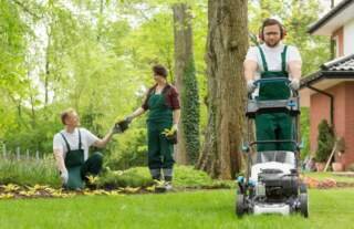 The Benefits of Regular Yard Cleanups for Your Garden Health