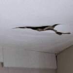 The Hidden Dangers of Ceiling Water Damage: What You Need to Know