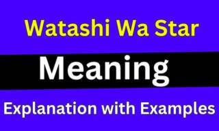 Watashi Wa Star Meaning: A Deep Dive into the Internet Phrase ...