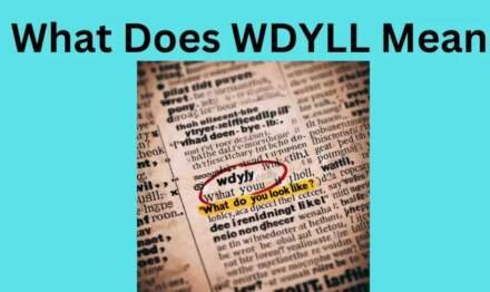 What Does WDYLL Mean? Understanding the Acronym and Its Use in Modern