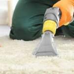 9 Professional Carpet Cleaning Services for a Spotless Home