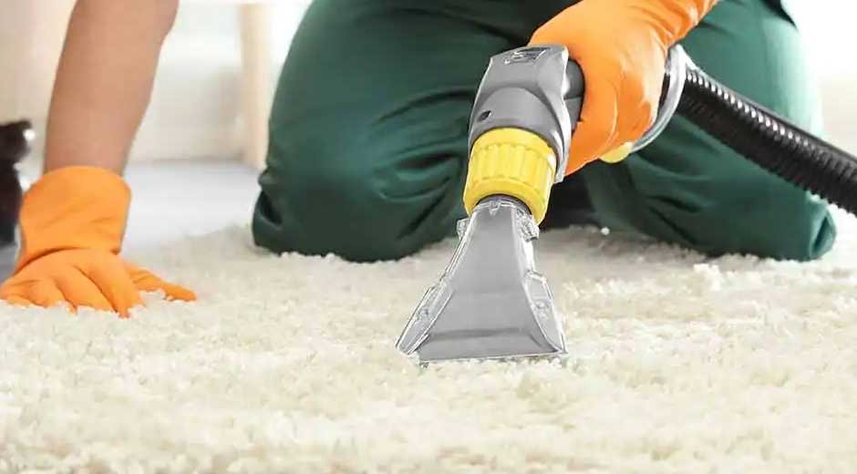 9 Professional Carpet Cleaning Services for a Spotless Home