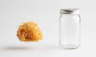 The Link Between Sea Moss Gel and Gut Health—and How It Impacts Immunity