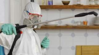 Expert Pest Control Services Fast and Efficient Solutions