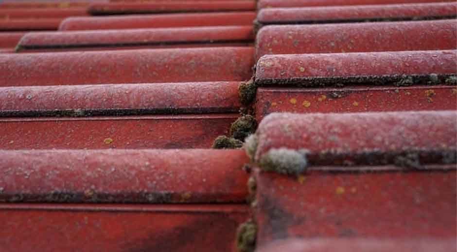 Don’t Let Small Roof Leaks Turn into Big Headaches Fixes Every Homeowner Should Know