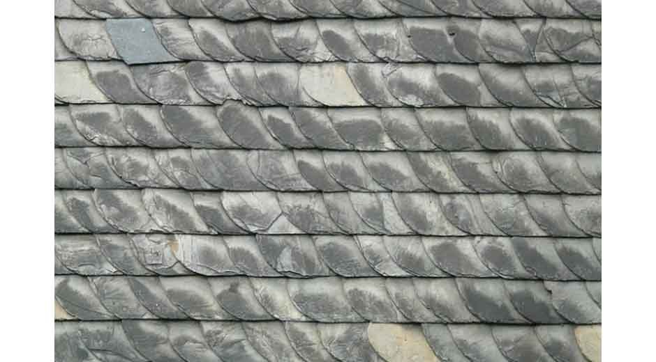Don’t Let Small Roof Leaks Turn into Big Headaches Fixes Every Homeowner Should Know