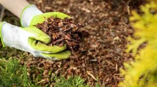 How to Choose the Right Mulch for Your Landscaping Needs