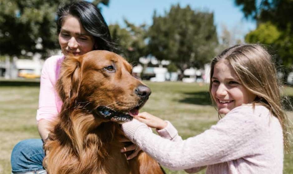 Mom’s Survival Guide to Introducing a Pet to the Family