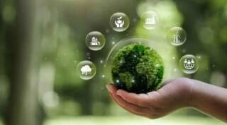 Why Sustainable Materials Are Gaining Ground in Advertising