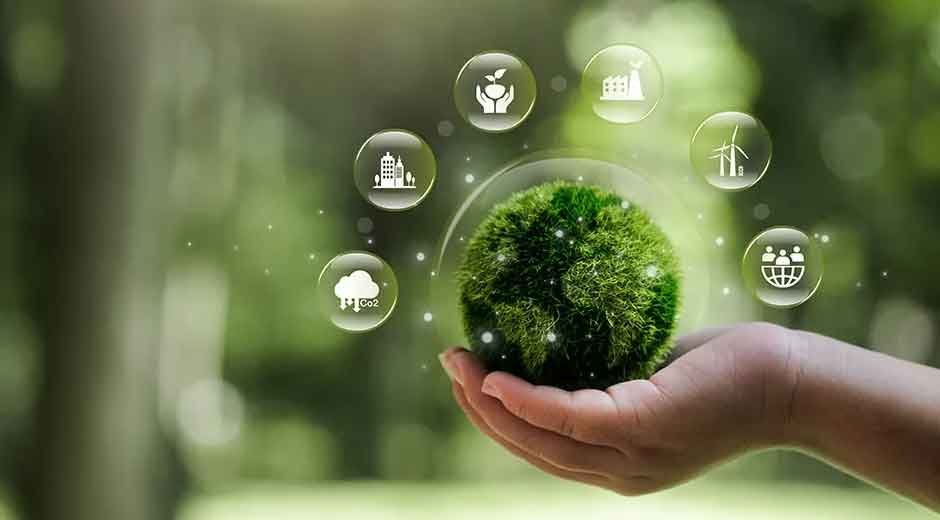 Why Sustainable Materials Are Gaining Ground in Advertising