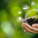 Creating-Sustainable-Events-Eco-Friendly-Practices-to-Consider