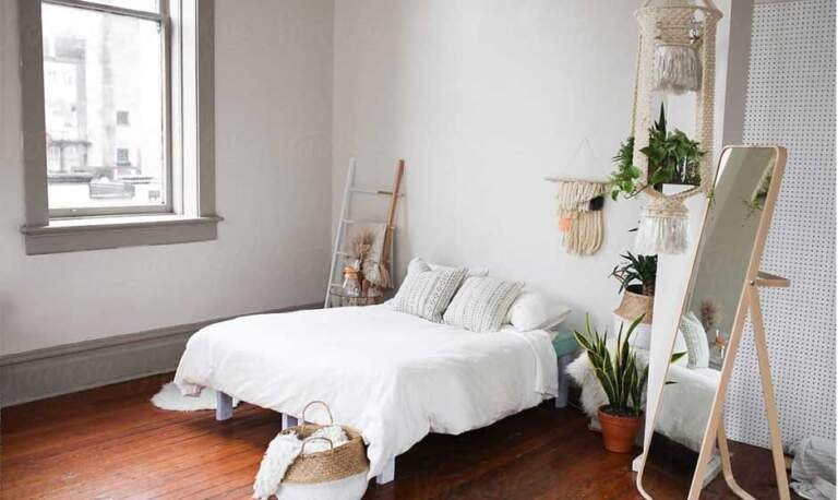 From Birds of Prey to Beds of Luxury
