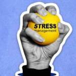 Understanding-the-Environmental-Triggers-of-Stress-and-Effective-Coping-Mechanisms