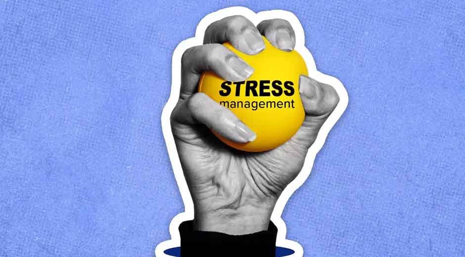 Understanding the Environmental Triggers of Stress and Effective Coping Mechanisms