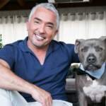 Cesar Millan Net Worth: Unveiling the Dog Whisperer’s Financial Journey