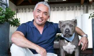 Cesar Millan Net Worth: Unveiling the Dog Whisperer’s Financial Journey