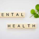 The-Beginner’s-Guide-to-Mental-Wellness-and-Self-Care