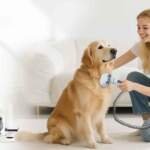The Complete Guide to Removing Matted Dog Hair at Home