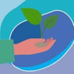 Why Sustainability Matters in Modern Luxury: The Conscious Consumer Revolution