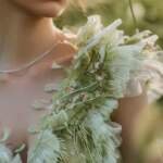 Wings and Wardrobes: The Surprising Links Between Nature and Sustainable Design