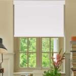 Allesin Dual-Control Blackout Roller Shades Review