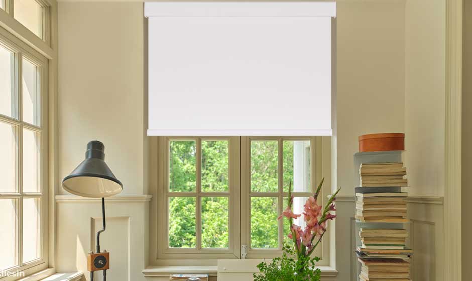 Allesin Dual-Control Blackout Roller Shades Review: Stylish, Smooth, and Solar-Powered Light Control