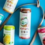 How To Pick The Best Nootropic Drink Based On Body Needs