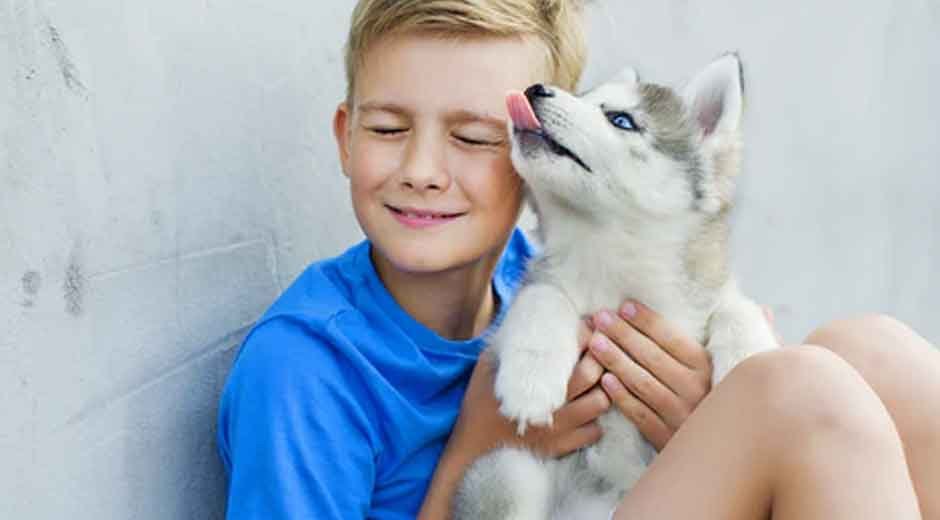 Building Empathy: Teaching Your Children the Basics of Animal Welfare