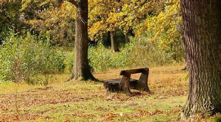 How Nature Teaches Us Balance: Lessons in Care from the Wild